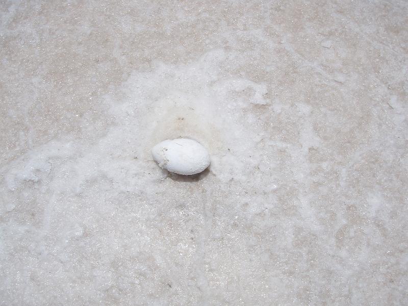 Coipasa Salt Flats (22).JPG